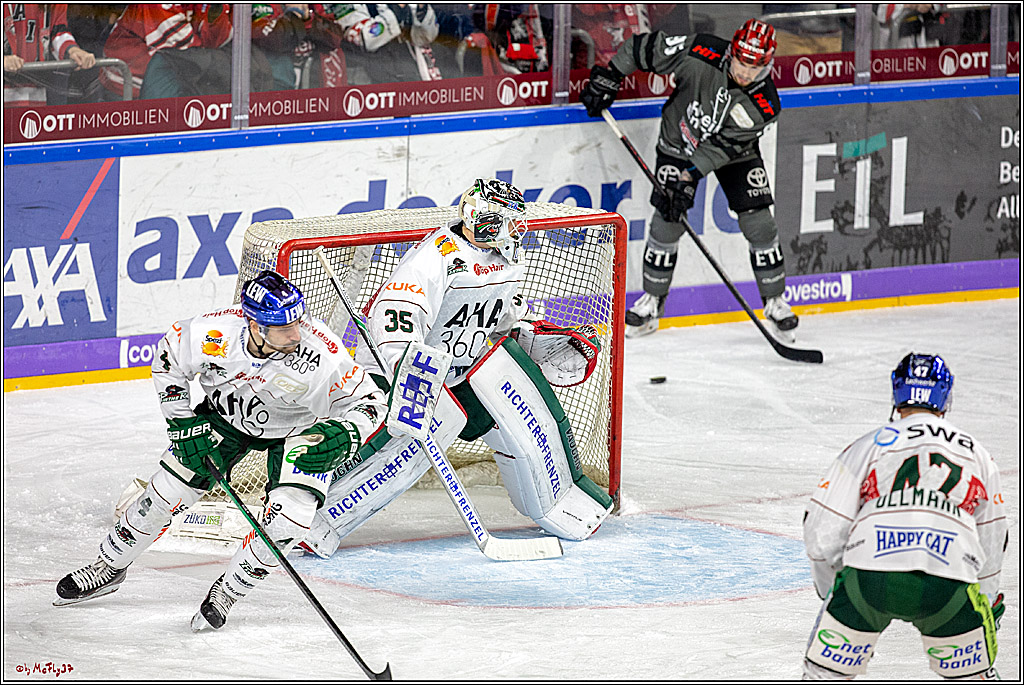 DEL; Koelner Haie - Augsburger Panther, 14.11.2018